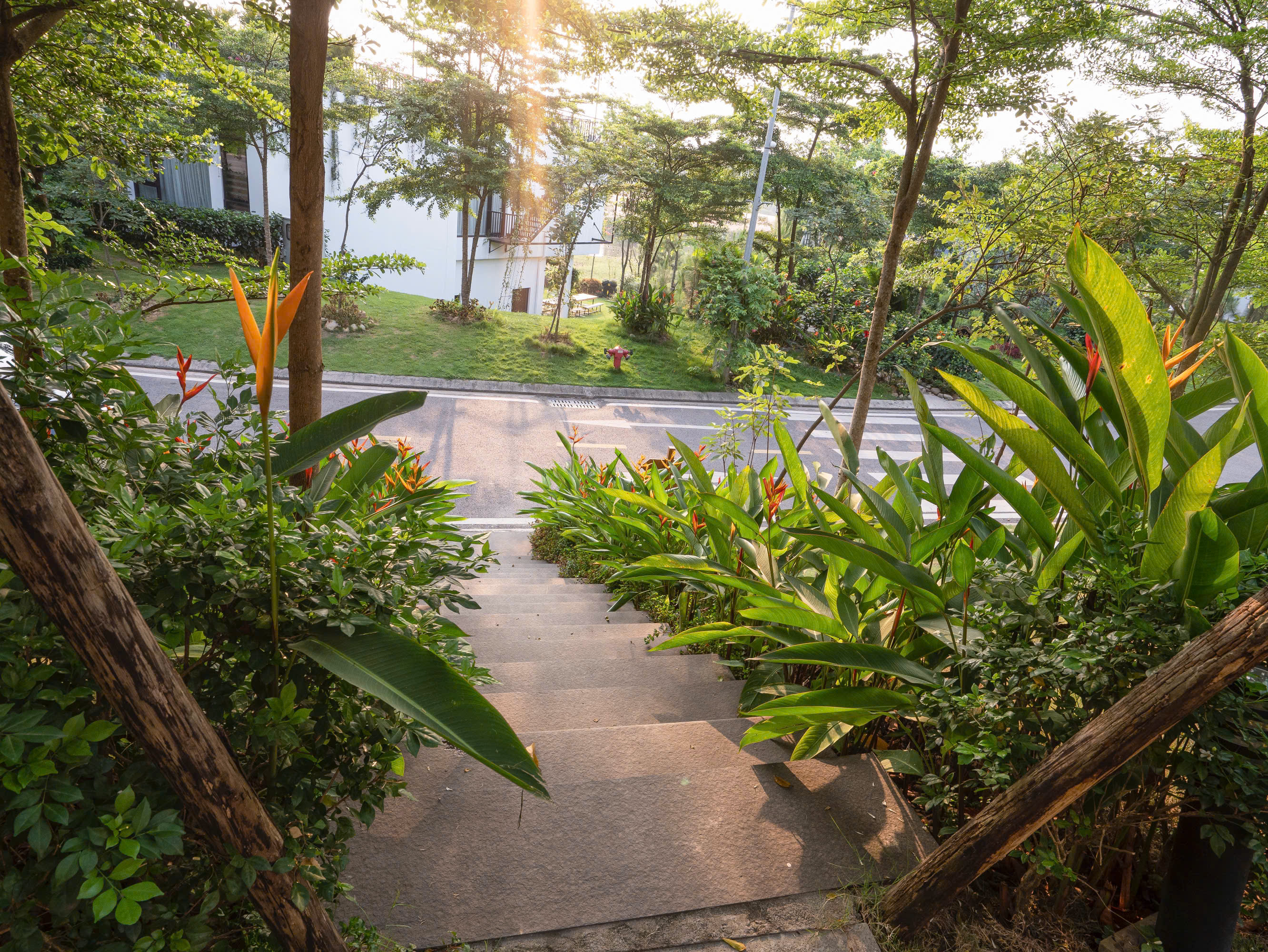 Khu vực sân vườn xanh mát của CHE GARDEN VILLA